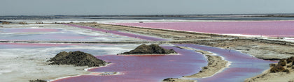 Camargue