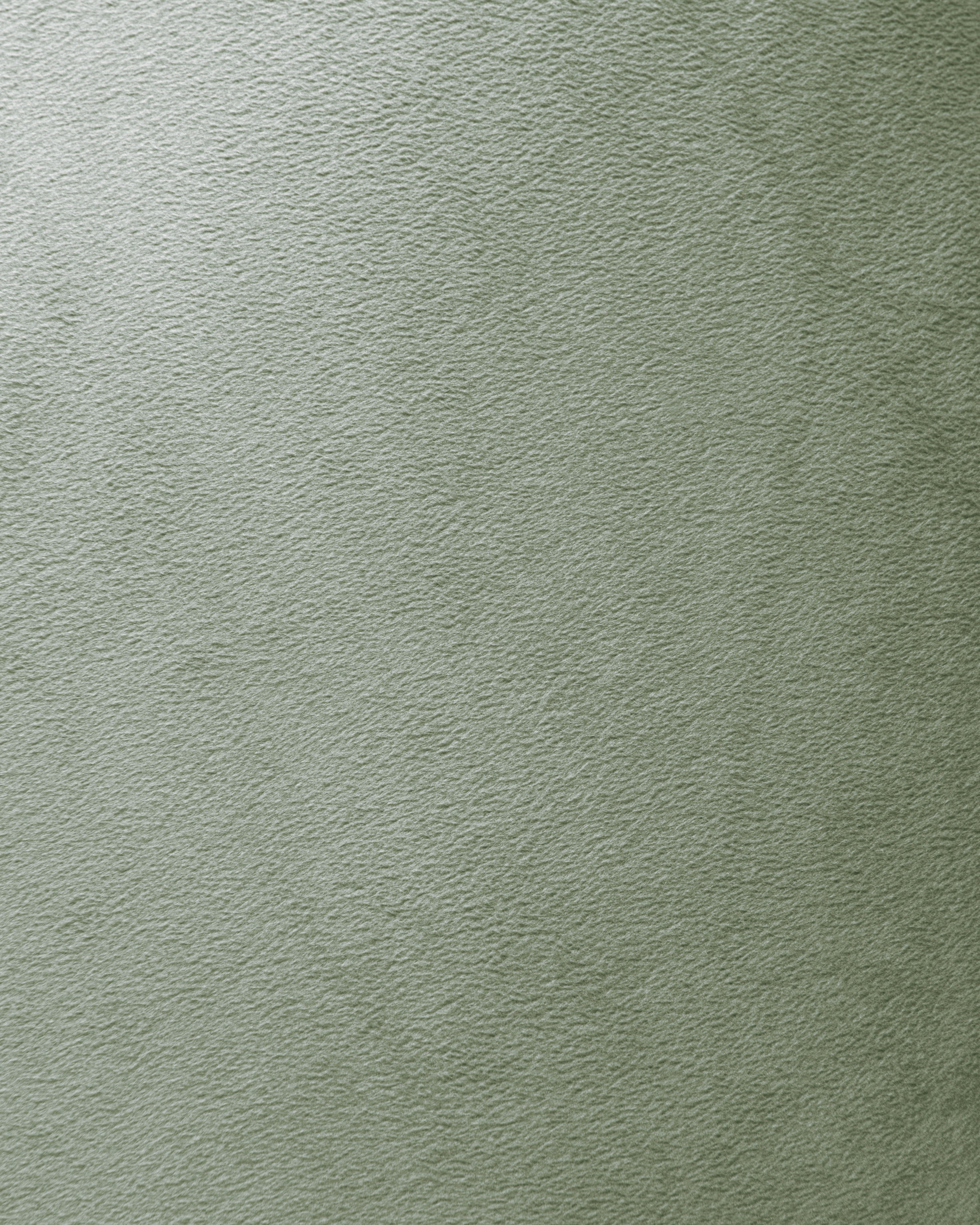 Sierkussen Velours Original Sage Green - 100% Polyester